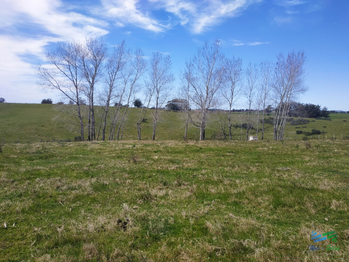 Campo Ref.4237 - Muy linda fracción de 138 Has en Las Garzas