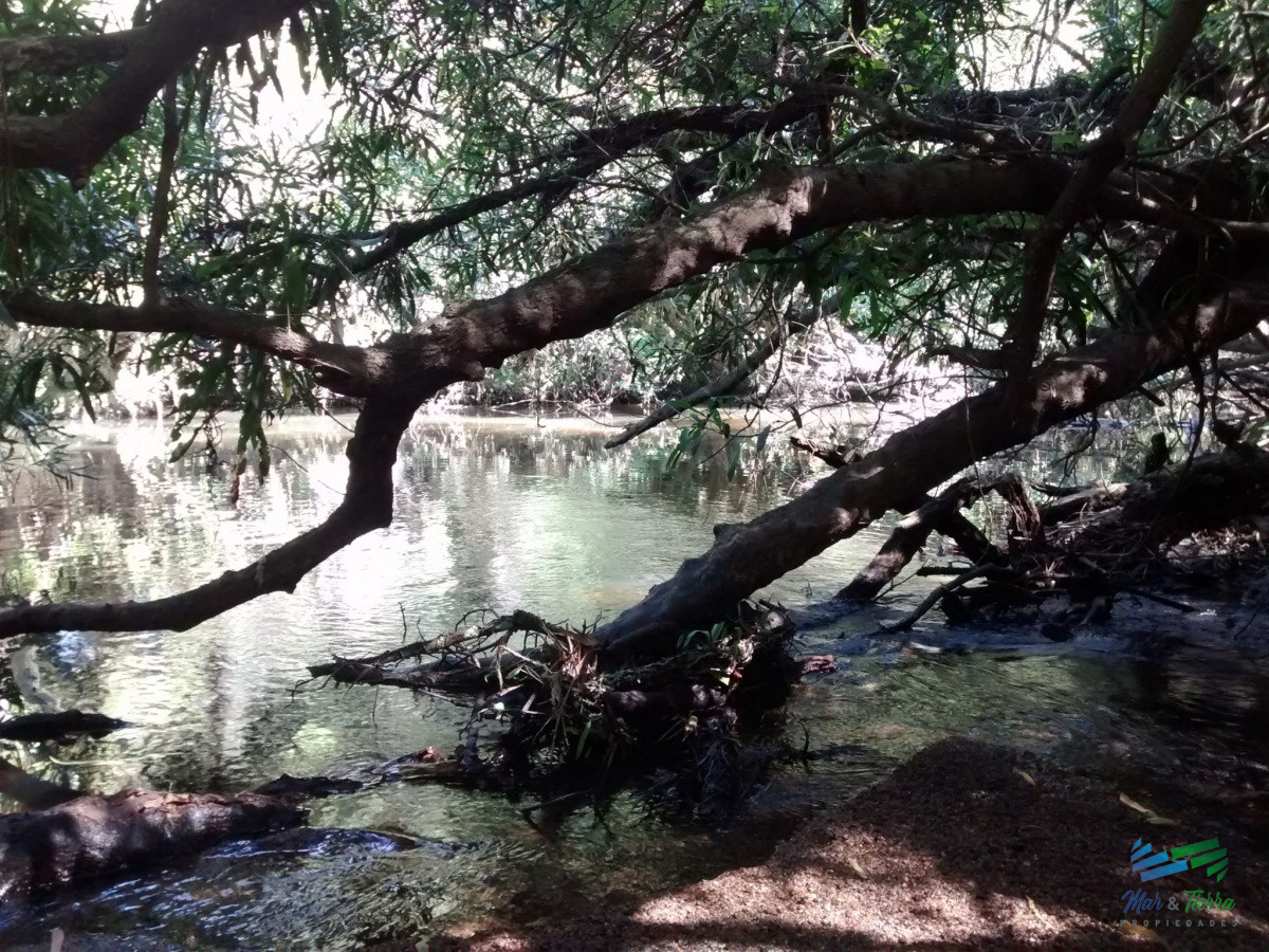 Campo Ref.4409 - Pintoresco campo Ganadero muy bien ubicado.