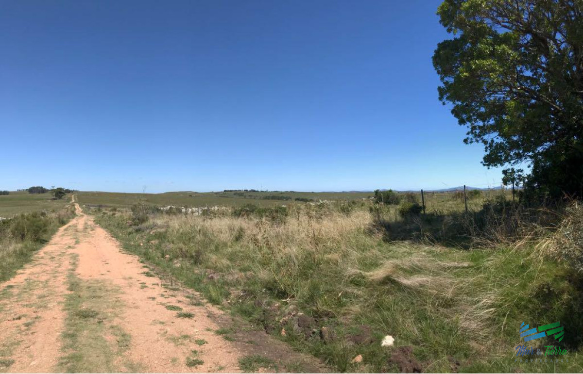 Campo Ref.3869 - Vendo campo 30 ha a 4 km de ruta 12. Maldonado