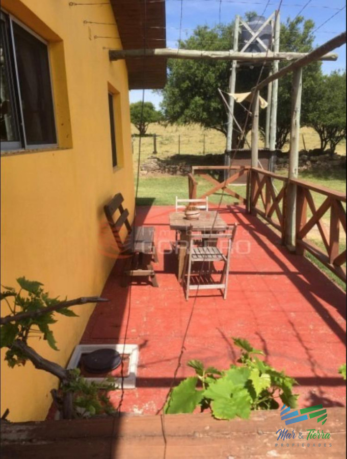 Campo Ref.3677 - 85 Has con casa a 30 minutos de Punta y 1 hora de Mdeo