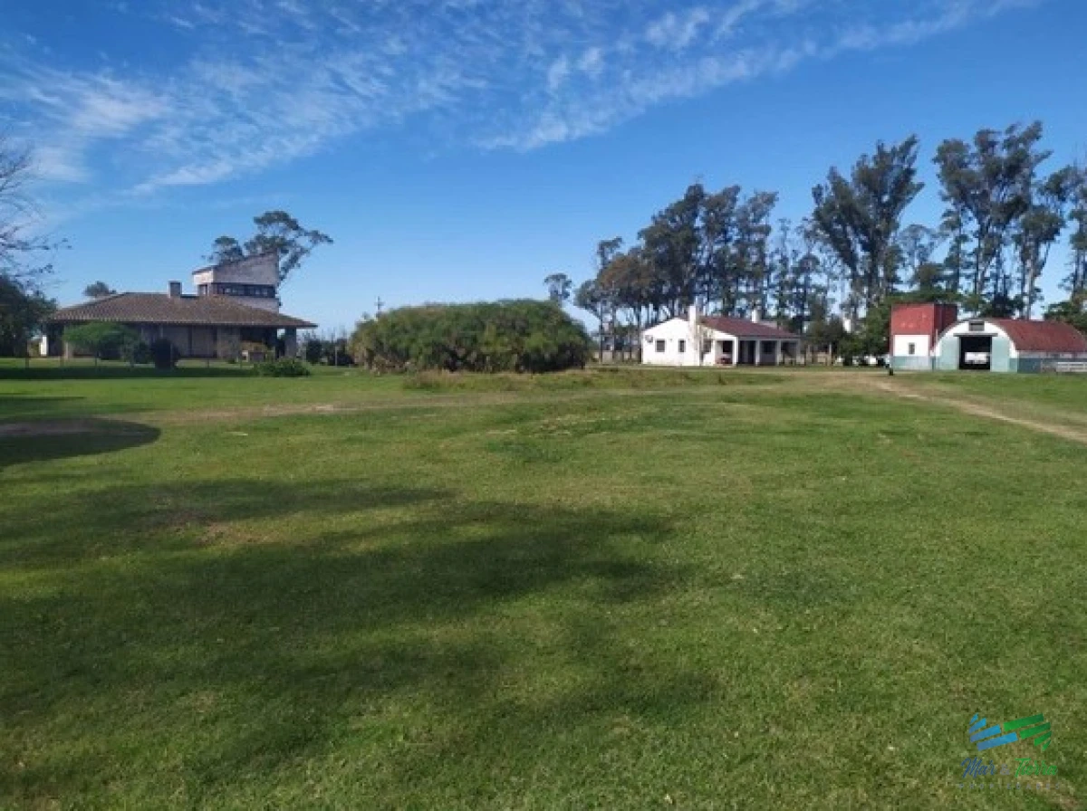Campo Arrocero Ganadero 1.636 Has sobre Ruta - GoPunta - Portal Inmobiliario de Punta del Este - Maldonado
