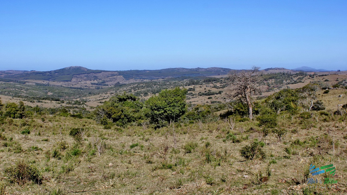 Campo de sierra sobre Ruta 12 - GoPunta - Portal Inmobiliario de Punta del Este - Maldonado
