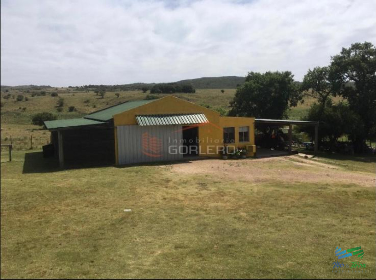 Campo Ref.3677 - 85 Has con casa a 30 minutos de Punta y 1 hora de Mdeo
