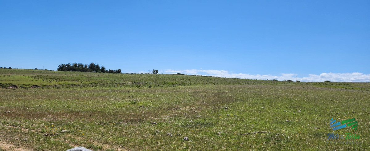 Campo Ref.4158 - 125 Has sobre R.9 muy bien campo Agricola-Ganadero