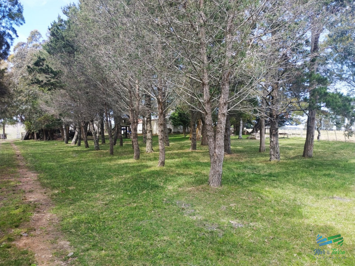 Campo Ref.4237 - Muy linda fracción de 138 Has en Las Garzas