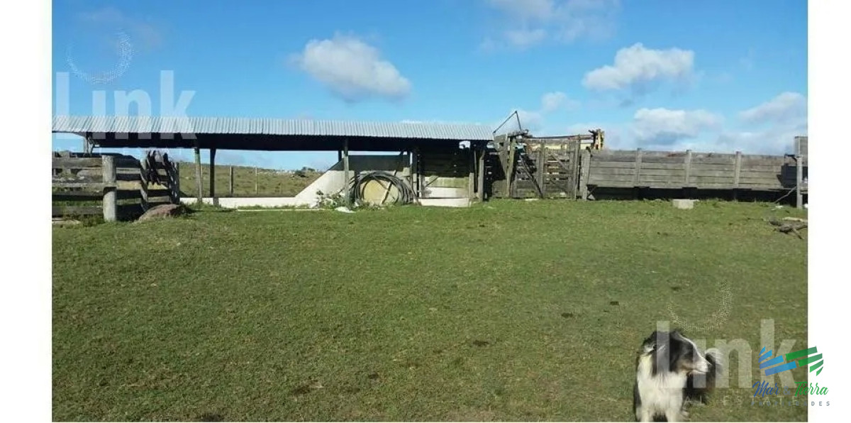 Campo Ref.3694 - Precio Rebajado - Estancia 3.000 Has en 33 Ganadero-Forestal