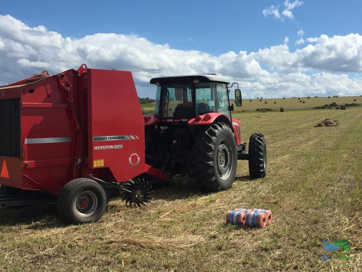 Campo Ref.3697 - 1.137 Has Campaso costa Laguna Negra