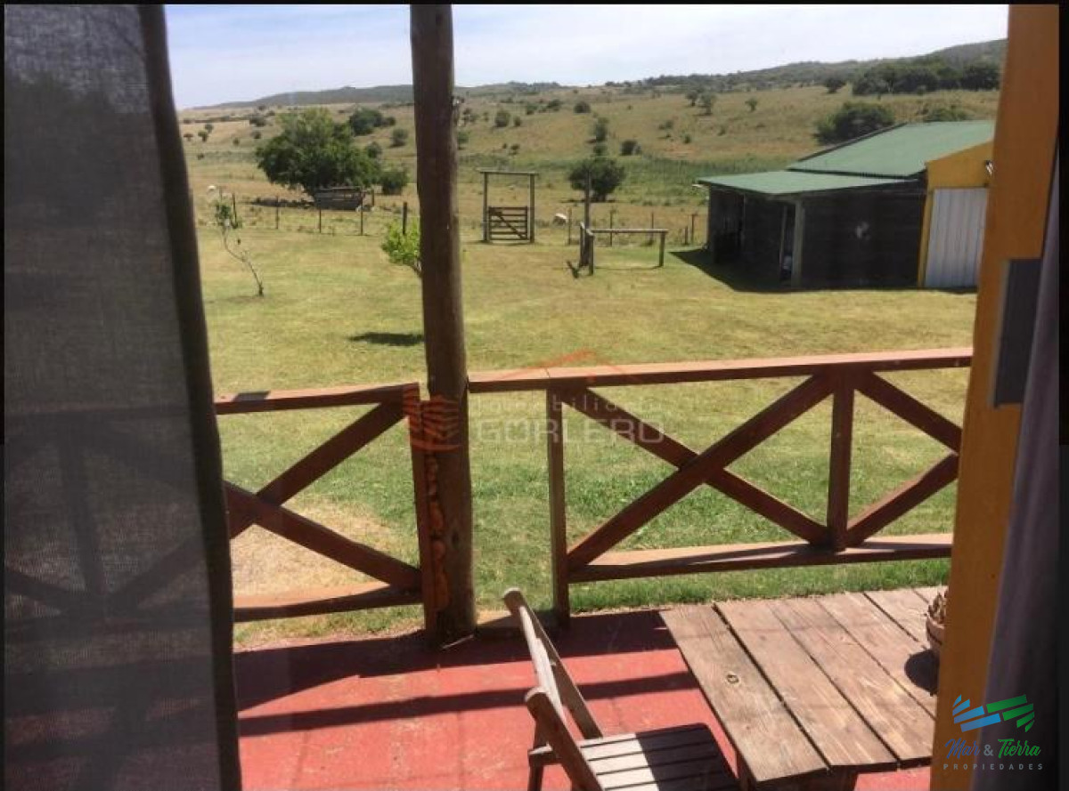 Campo Ref.3677 - 85 Has con casa a 30 minutos de Punta y 1 hora de Mdeo