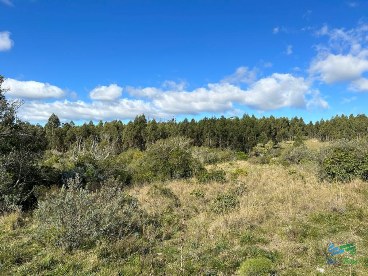 Campo Ref.4336 - Lindo campo para fraccionar, sobre ruta y a poco mas de 1 hora de Punta