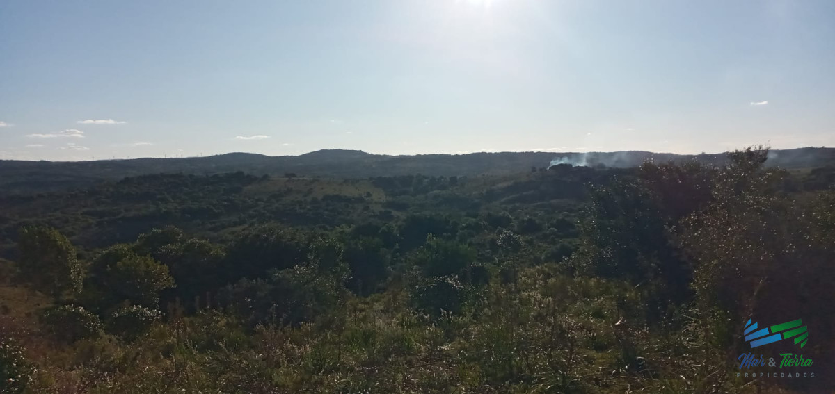 Campo Ref.3898 - 76 Has Campo en Sierras de Garzón