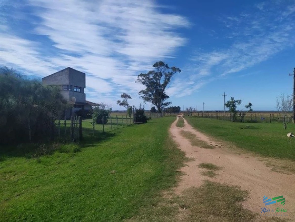 Campo Ref.4401 - Campo Arrocero-Ganadero 1.636 Has sobre Ruta