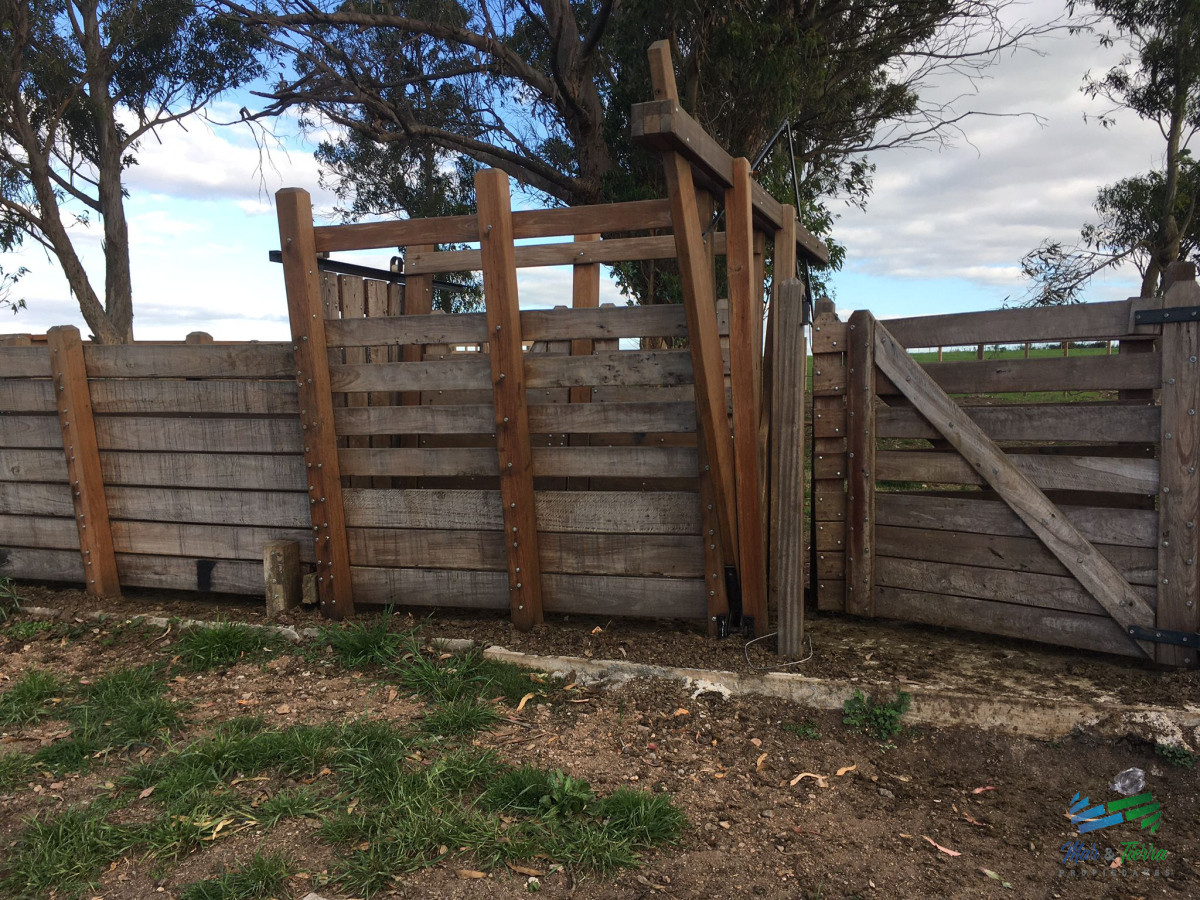 Campo Ref.4907 - 312 Has Campaso Mixto a 1 hora de Mdeo y Punta !