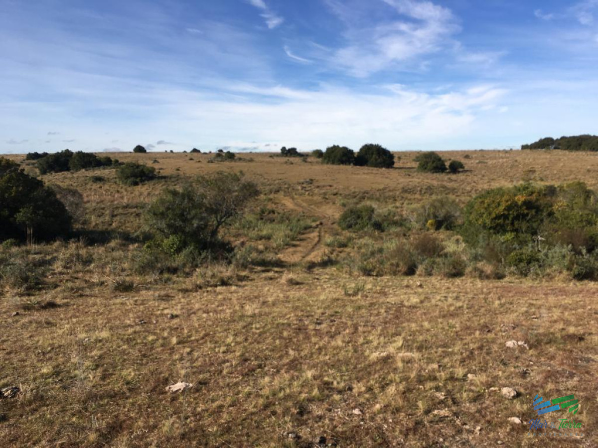 Campo Ref.4057 - 47 Has a 20 minutos Jose Ignacio y 3 kms de R.9