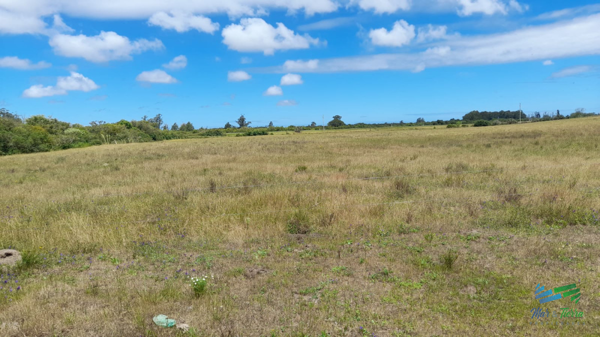 Campo Ref.3681 - 128 Has Agrícola-Ganaderas sobre Ruta 9 (Tambo)