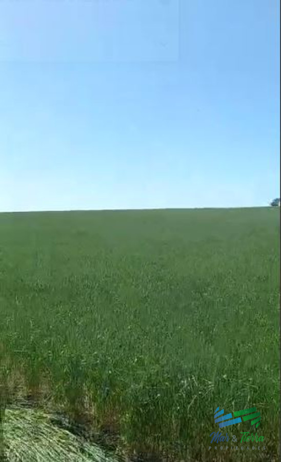 Campo Ref.4325 - Excelente ubicación, Campo Mixto a poca distancia de Mercedes, todo hecho a  nuevo !