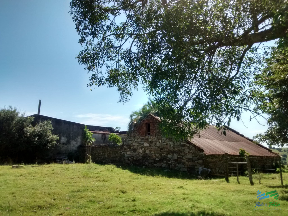 Campo Ref.4113 - 51 Has Campo Secreto