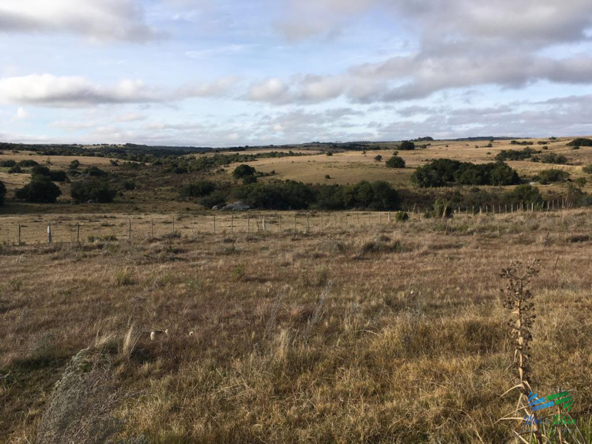 Campo Ref.4057 - 47 Has a 20 minutos Jose Ignacio y 3 kms de R.9