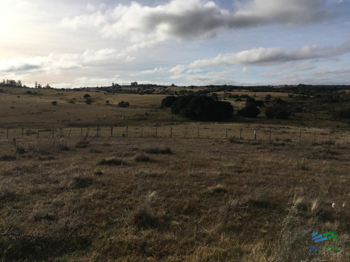 Campo Ref.4057 - 47 Has a 20 minutos Jose Ignacio y 3 kms de R.9