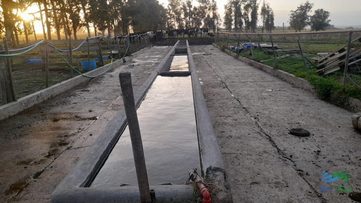 Campo Ref.3681 - 128 Has Agrícola-Ganaderas sobre Ruta 9 (Tambo)