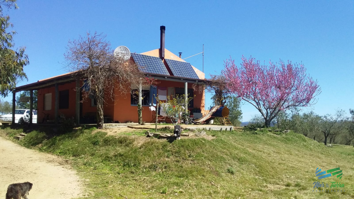 Campo Ref.4426 - Muy lindo campo de Recreo con Olivos a pocos mts de R.39 y 1 hora de Punta