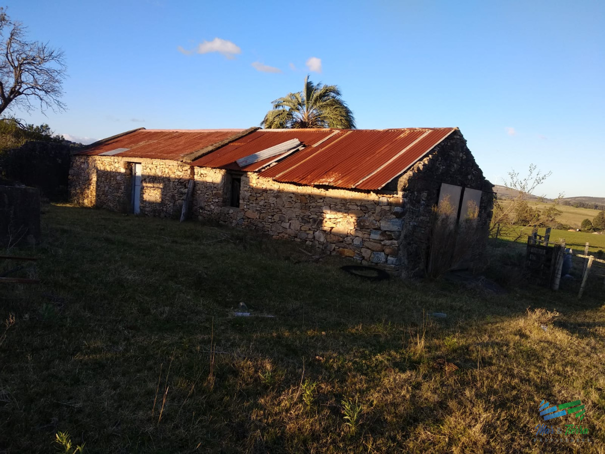 Campo Ref.3678 - 82 Has Cerca de Pueblo Edén y R.12