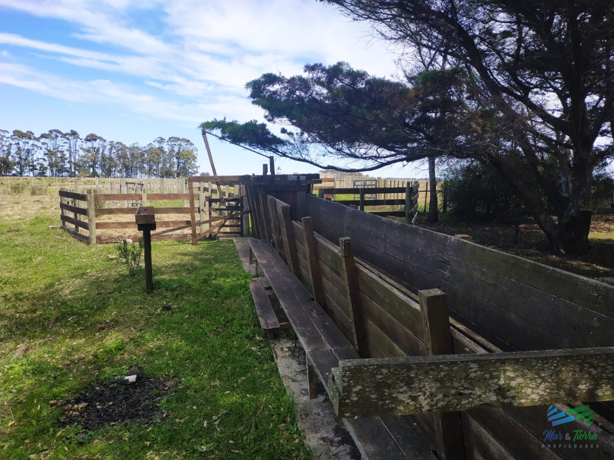 Campo Ref.4237 - Muy linda fracción de 138 Has en Las Garzas