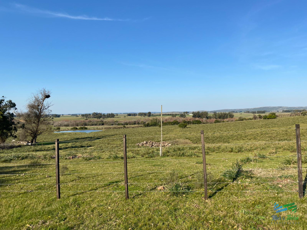 Buen campo mixto a 1 hora de Punta, buen acceso e instalaciones. - GoPunta - Portal Inmobiliario de Punta del Este - Maldonado