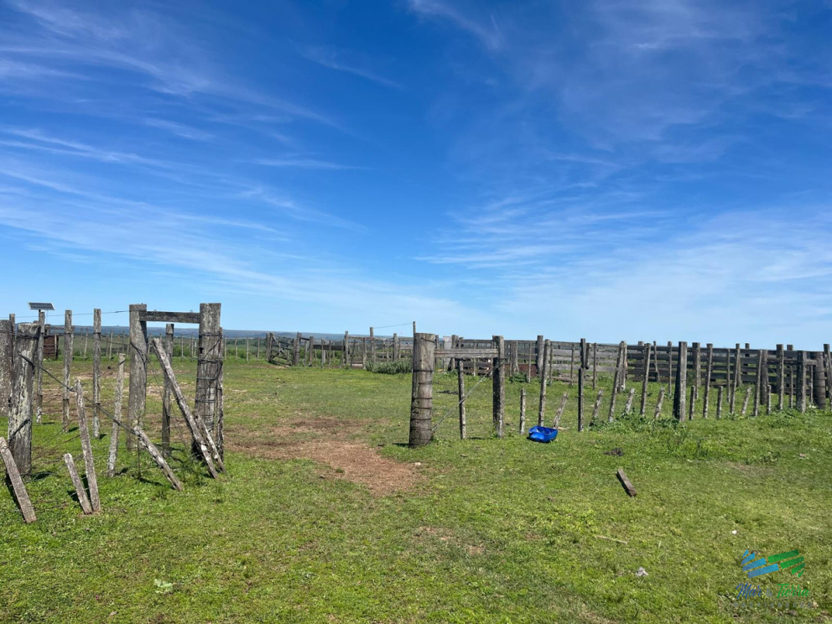 Campo Ref.5734 - Campo ganadero a buen precio!