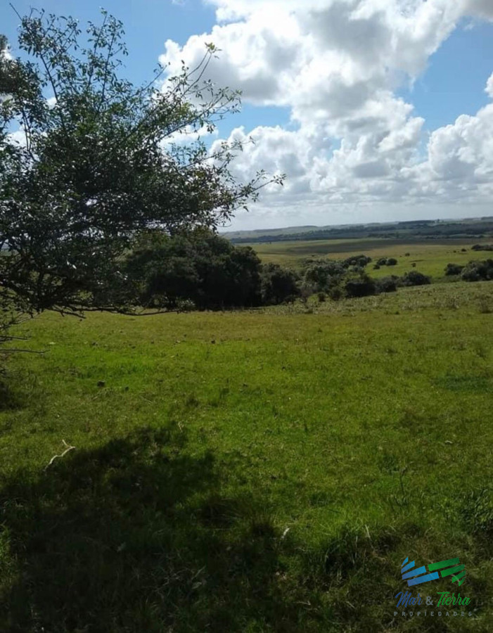 Campo Ref.4240 - Linda Fraccion de Campo Agricola - Ganadero 177 Has Castillos