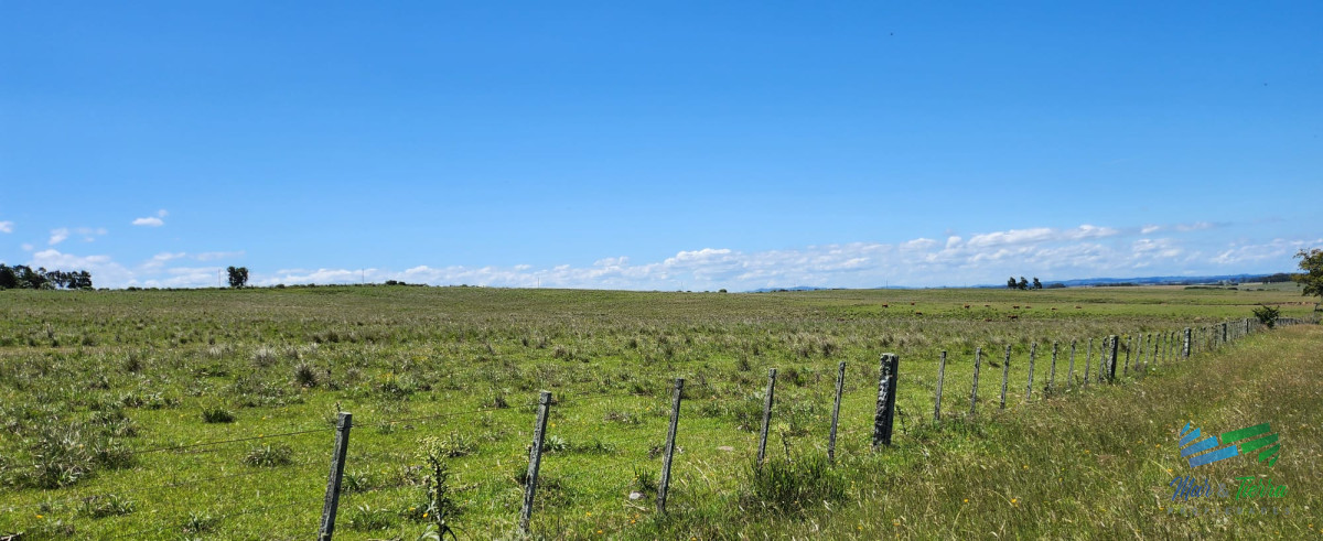 Campo Ref.4158 - 125 Has sobre R.9 muy bien campo Agricola-Ganadero