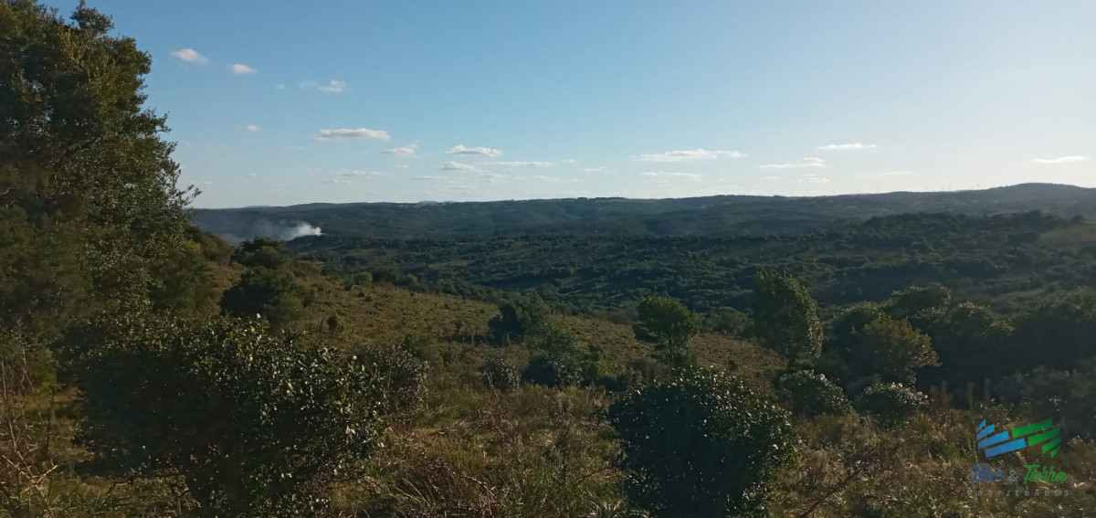 Campo Ref.3898 - 76 Has Campo en Sierras de Garzón