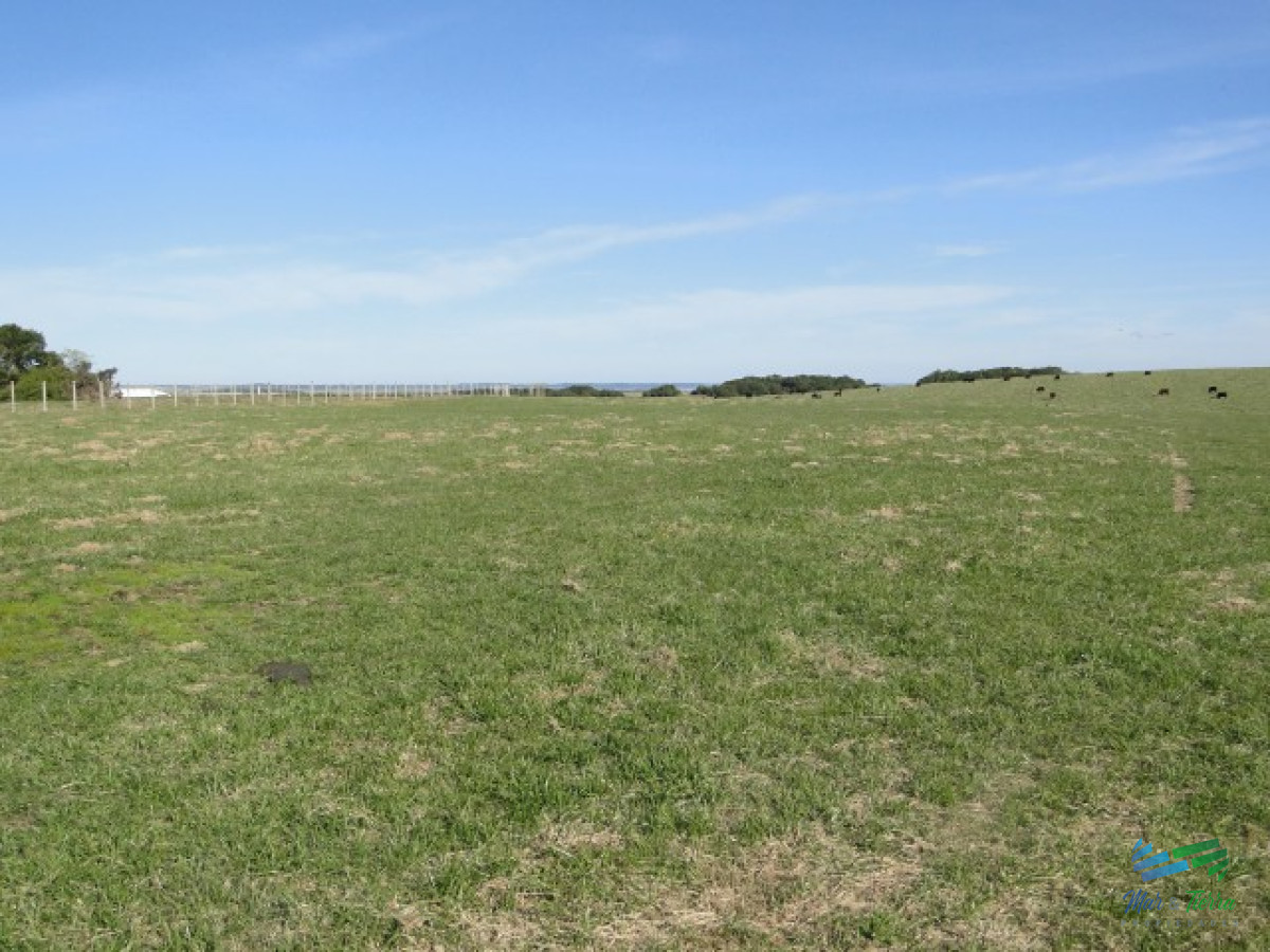 Campo Ref.3697 - 1.137 Has Campaso costa Laguna Negra