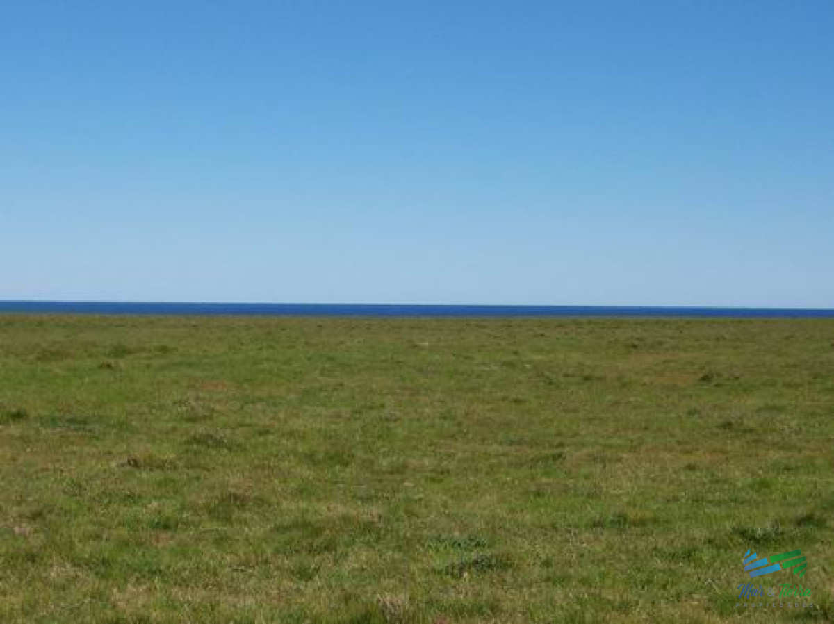 Campo Ref.3906 - 145 Has al Sur de Ruta 10 con vista al Mar, Precio Reducido !