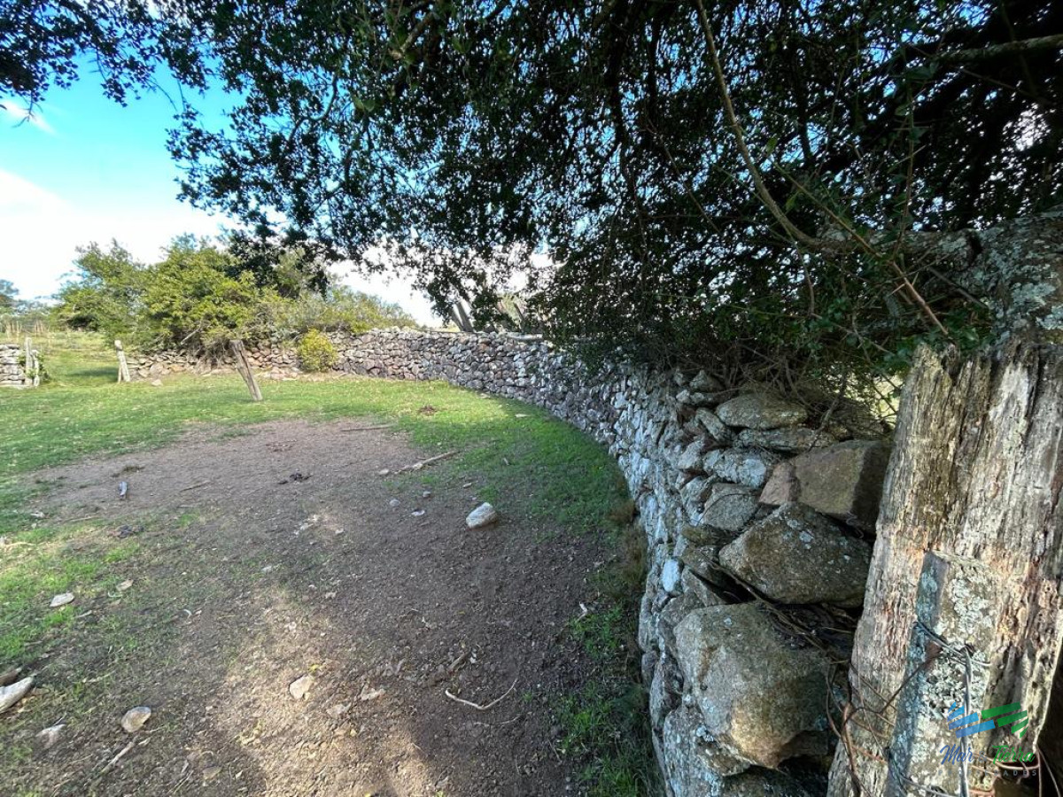 Campo Ref.4336 - Lindo campo para fraccionar, sobre ruta y a poco mas de 1 hora de Punta