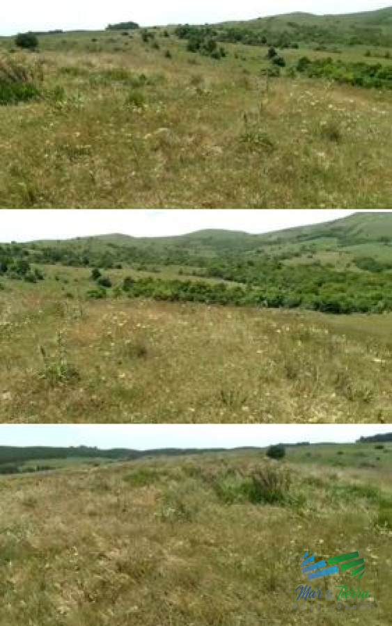 Campo Ref.4502 - Linda fracción de campo ganadero con aptitud forestal