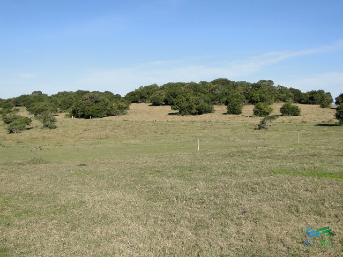 Campo Ref.3697 - 1.137 Has Campaso costa Laguna Negra