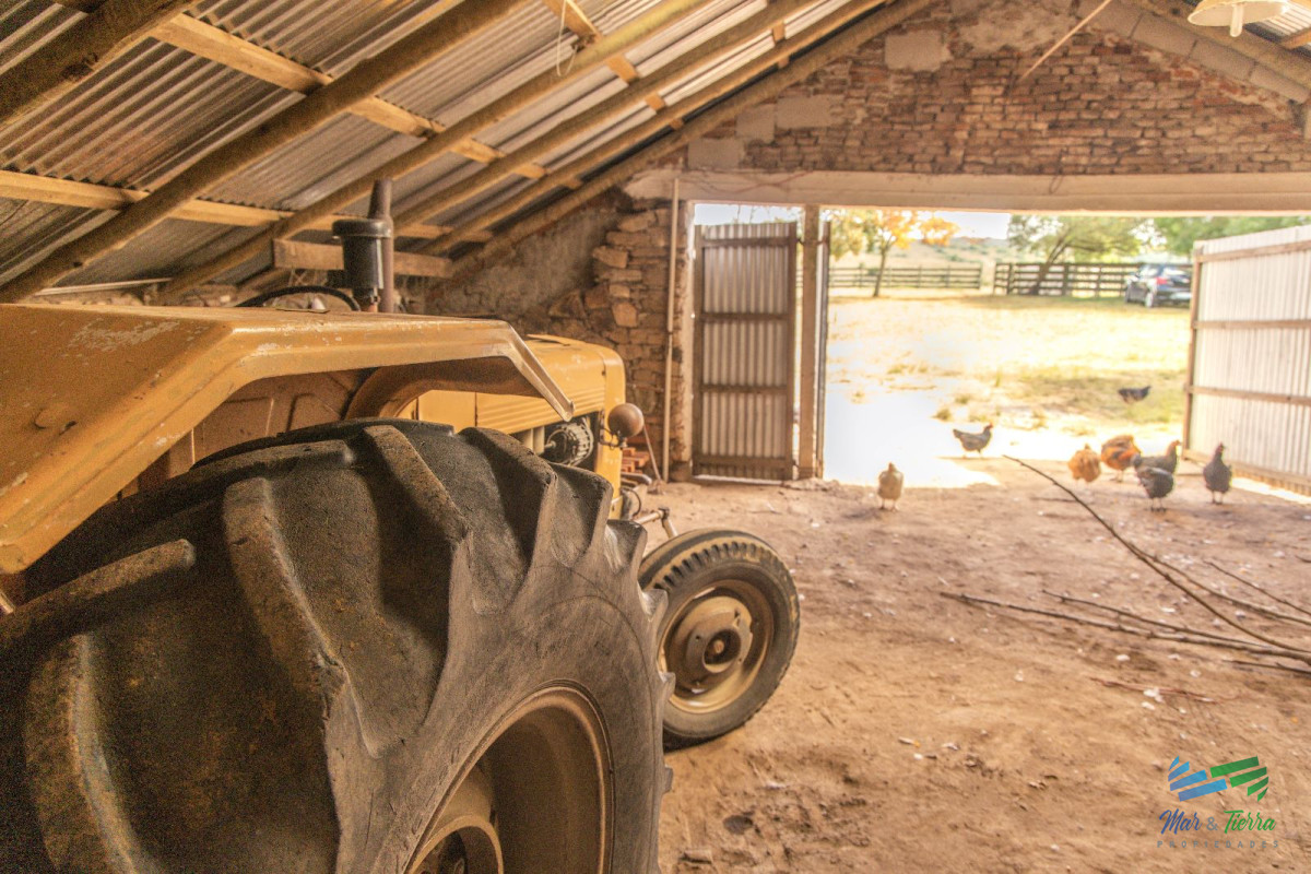 Campo Ref.4411 - Estancia de 882 Has, campo mixto Ganadero - Forestal muy bien ubicado