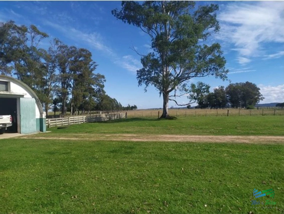 Campo Ref.4401 - Campo Arrocero-Ganadero 1.636 Has sobre Ruta