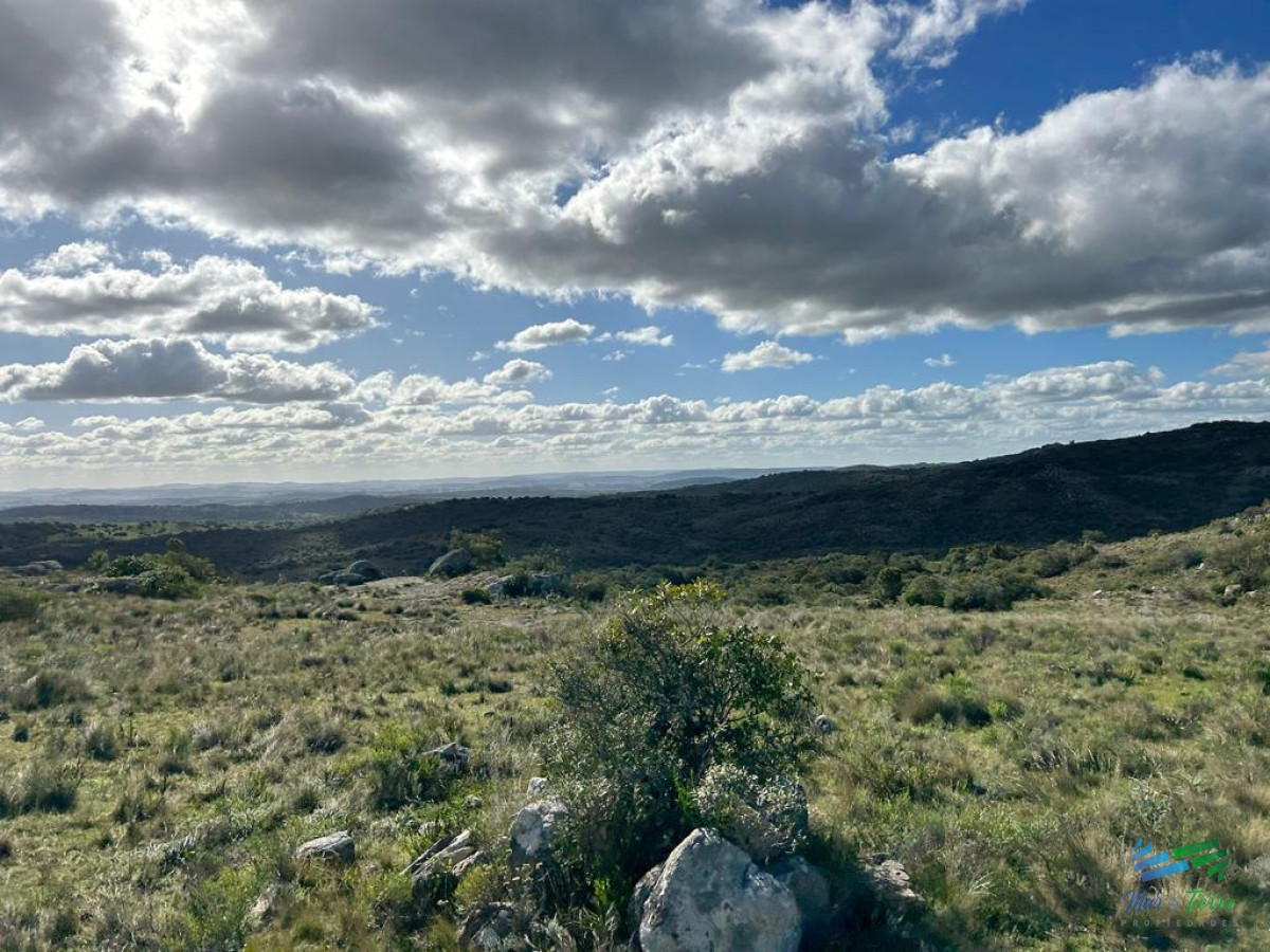 Campo Ref.4336 - Lindo campo para fraccionar, sobre ruta y a poco mas de 1 hora de Punta