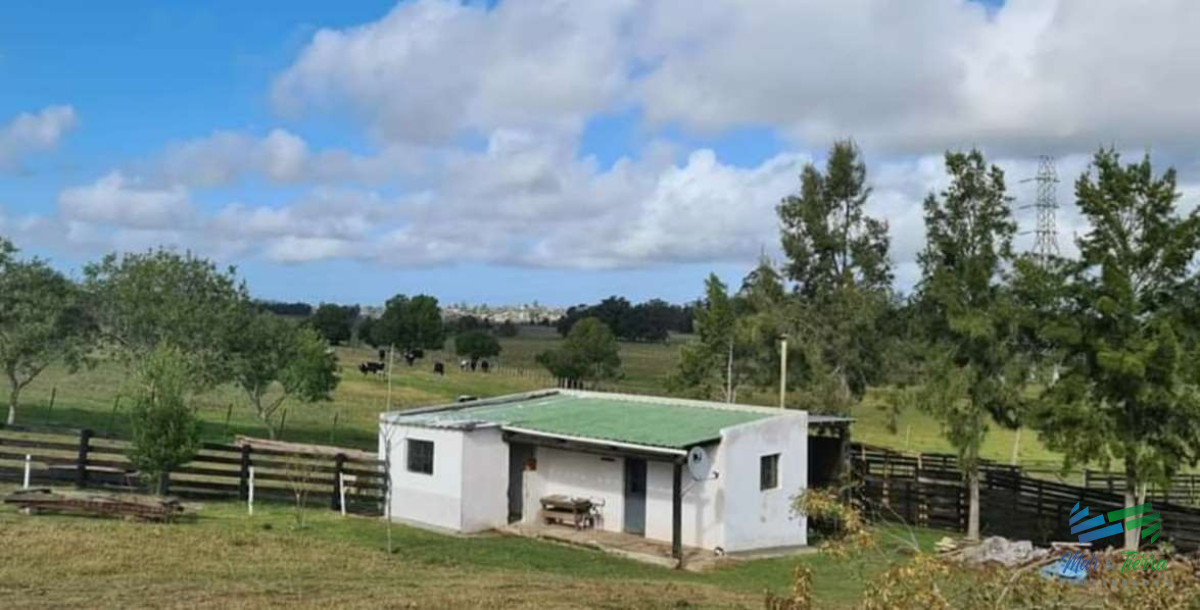 Campo Ref.4501 - Muy linda fracción de campo, excelentemente ubicado con casa e instalaciones.