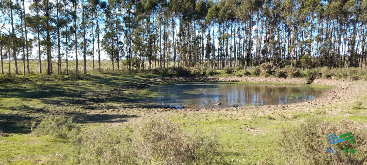 Campo Ref.4416 - Buen campo agrícola, muy bien ubicado. 83 Has