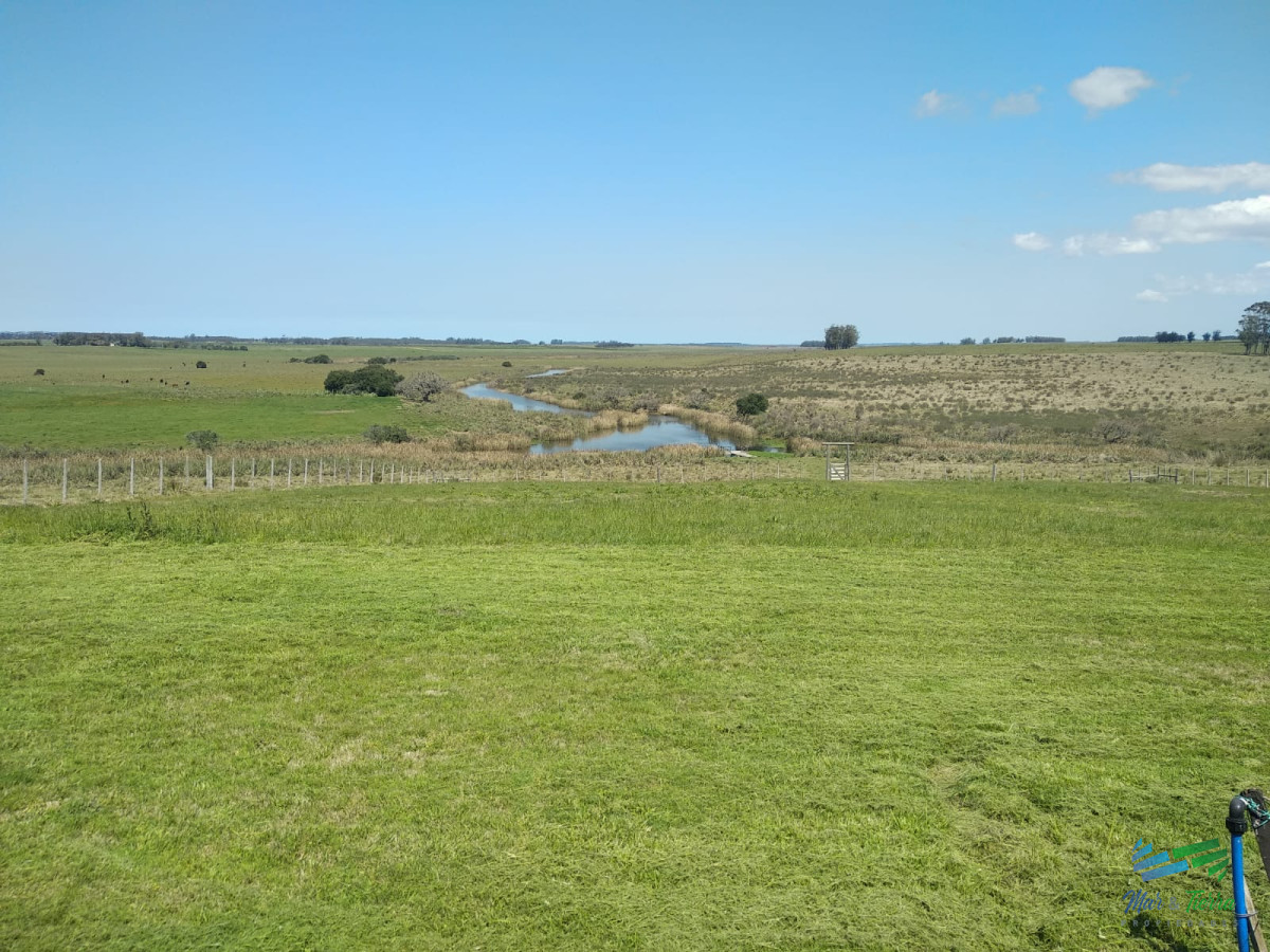 Campo Ref.4237 - Muy linda fracción de 138 Has en Las Garzas
