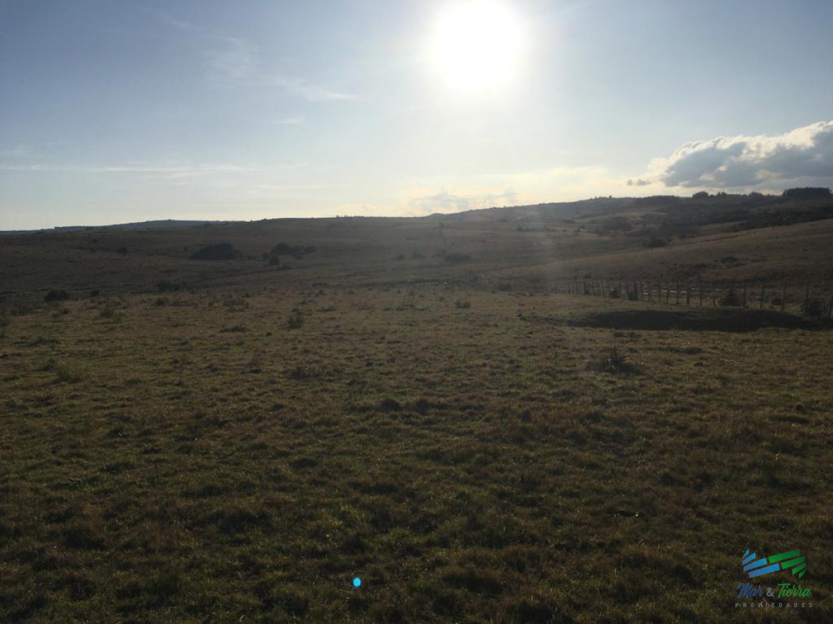 Campo Ref.4058 - 104 Has en Garzon