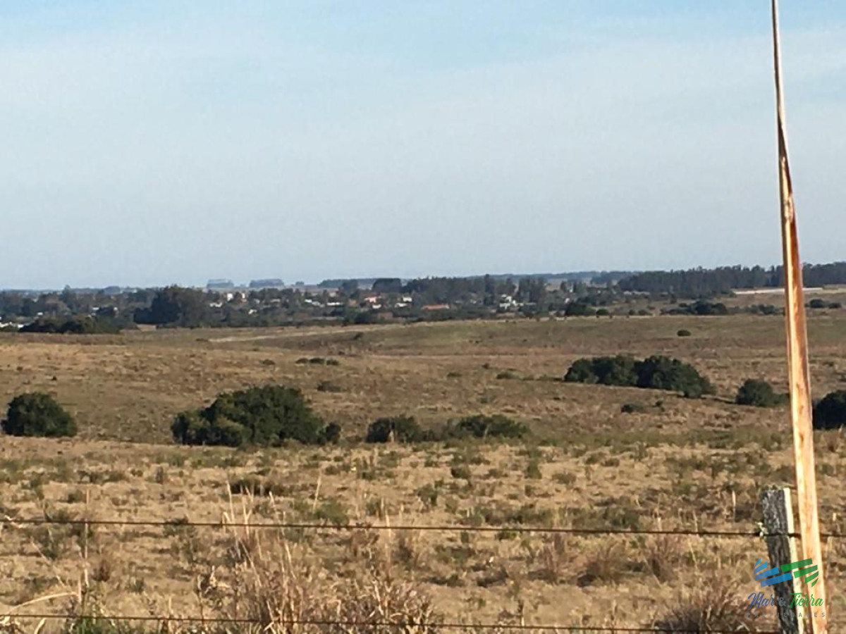 Campo Ref.4198 - Garzón 260 Has buen campo ganadero, ideal para fraccionamiento