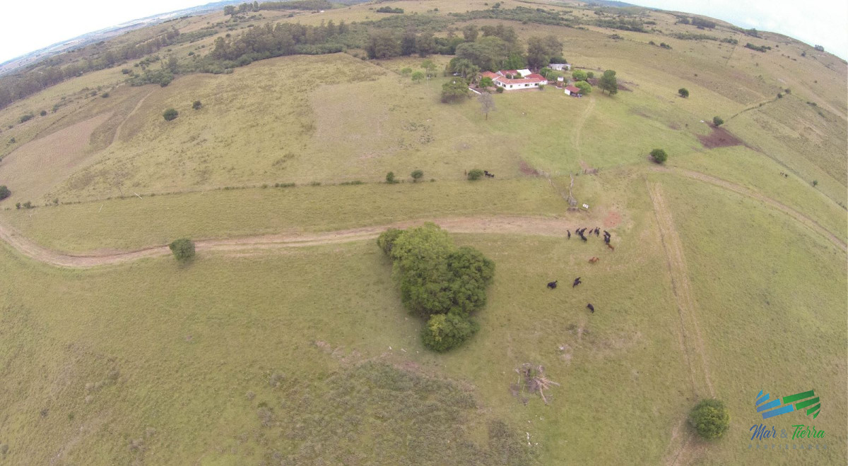 Campo Ref.4411 - Estancia de 882 Has, campo mixto Ganadero - Forestal muy bien ubicado