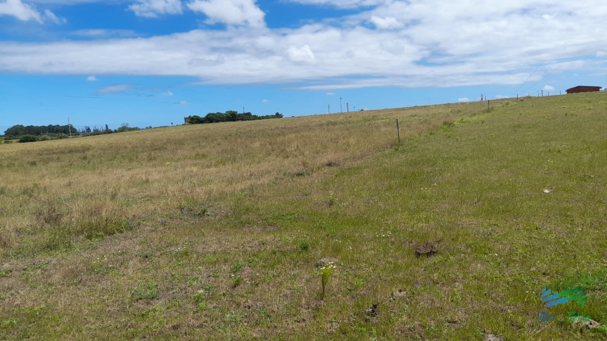 Campo Ref.3681 - 128 Has Agrícola-Ganaderas sobre Ruta 9 (Tambo)