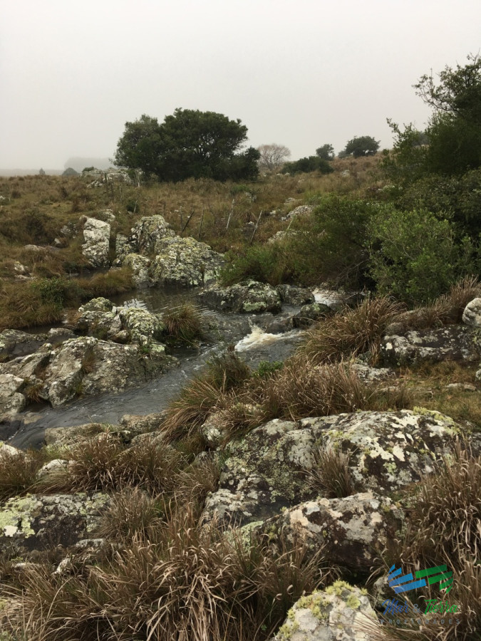 Campo Ref.3862 - 198 Has sobre Ruta 12, Arroyo, Monte Nativo a 15 kms de P. Edén