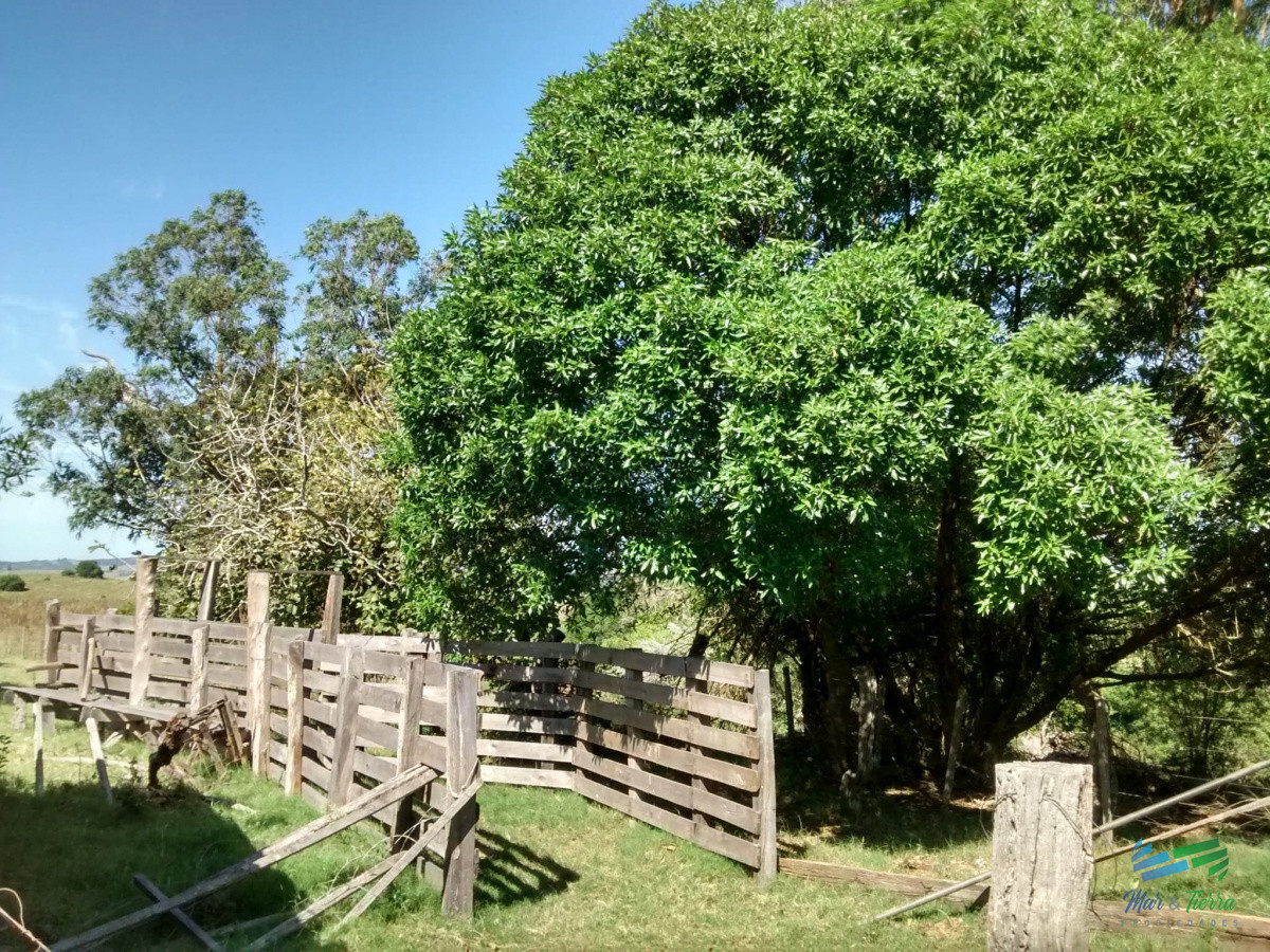 Campo Ref.4113 - 51 Has Campo Secreto