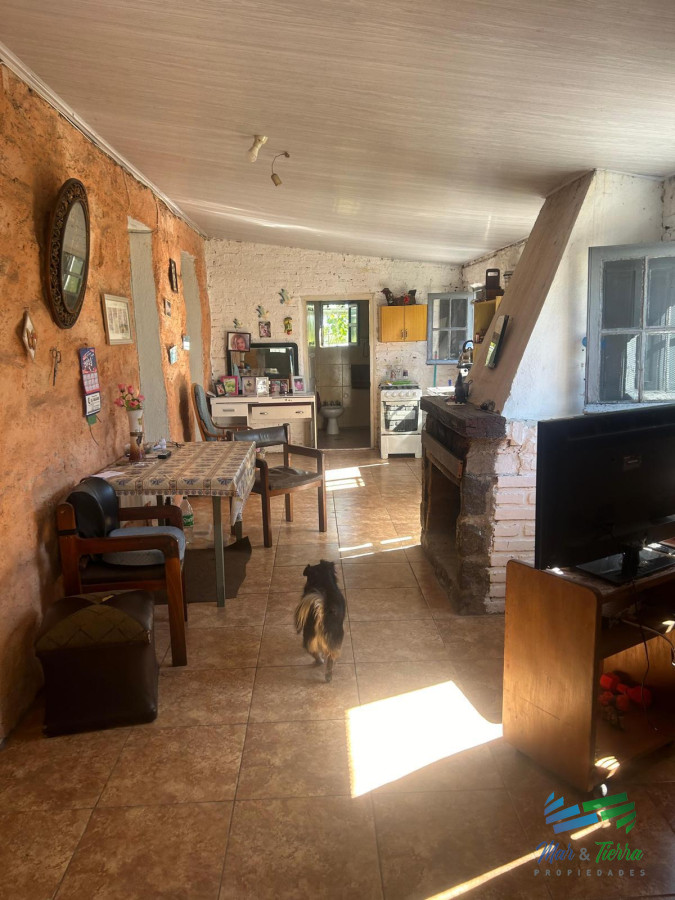Campo Ref.5081 - 577 Has Campo Ganadero - Forestal
