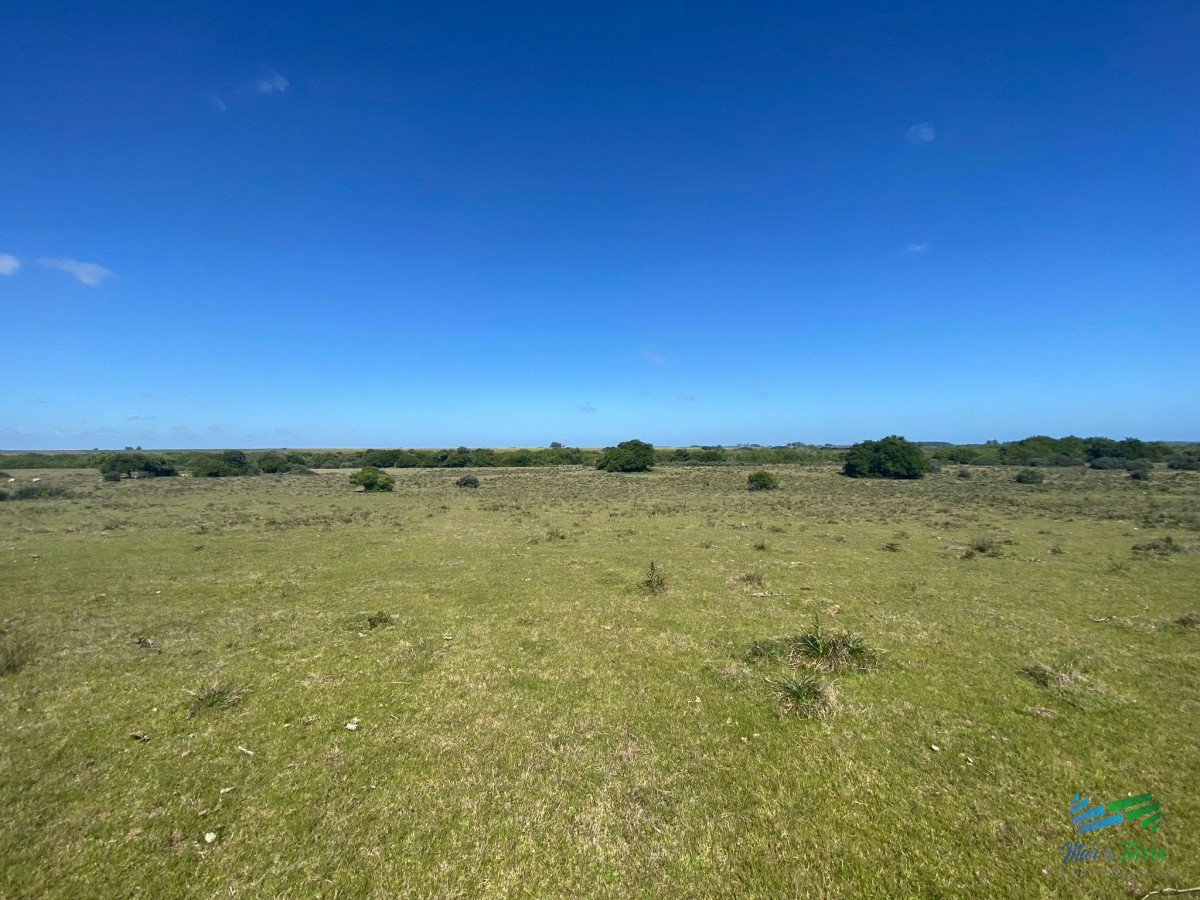 Imperdible Oportunidad Campo con Potencial de Fraccionar en Chacras al lado de Punta. - GoPunta - Portal Inmobiliario de Punta del Este - Maldonado